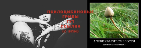твердый Сосновый Бор