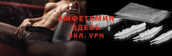 твердый Сосновый Бор