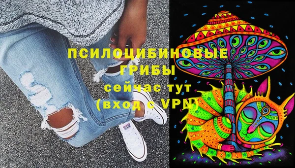 твердый Сосновый Бор