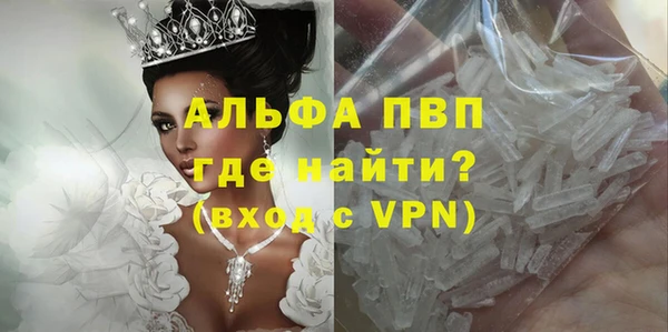 твердый Сосновый Бор