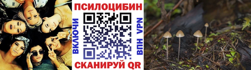 Псилоцибиновые грибы Psilocybine cubensis  Трёхгорный 