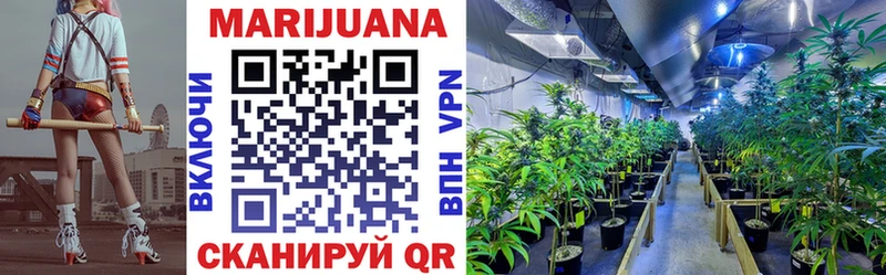 купить   Трёхгорный  Шишки марихуана SATIVA & INDICA 